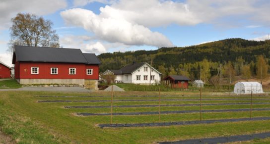 (Norsk) Fremstad gård