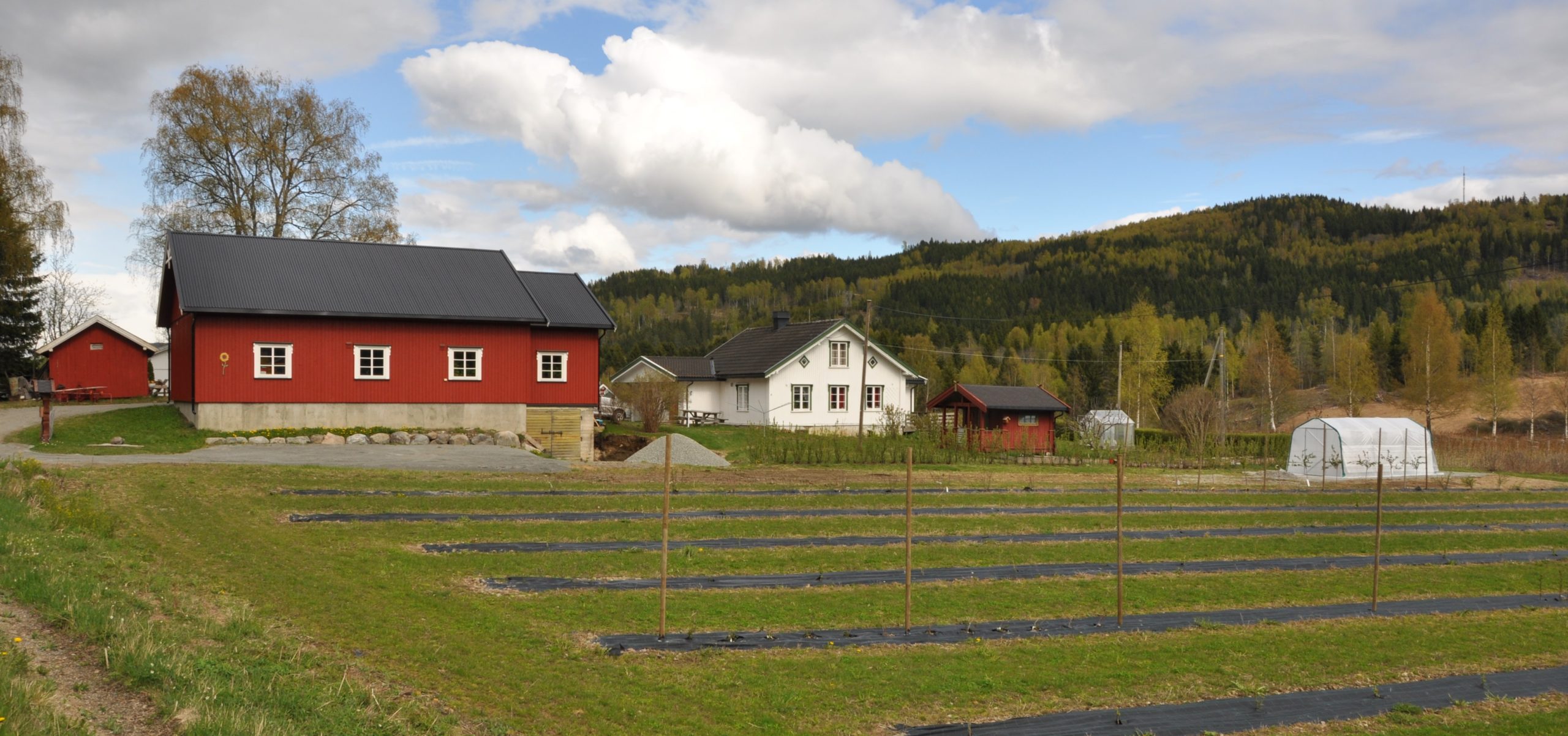 (Norsk) Fremstad gård